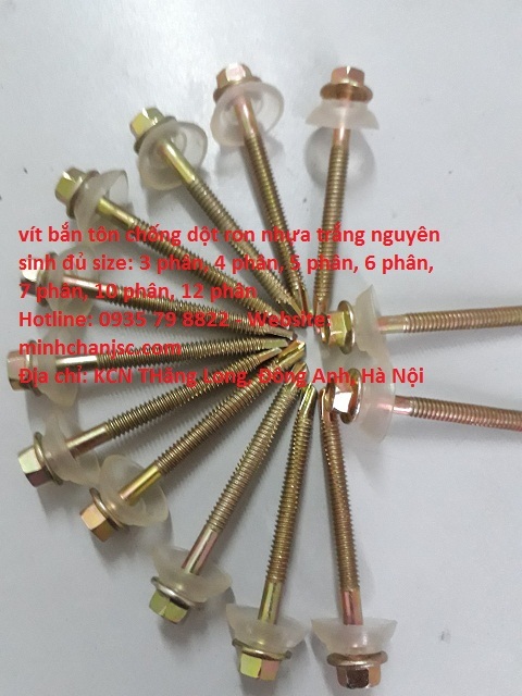 1700129681_vít_bắn_tôn_chống_dộtđài_loan