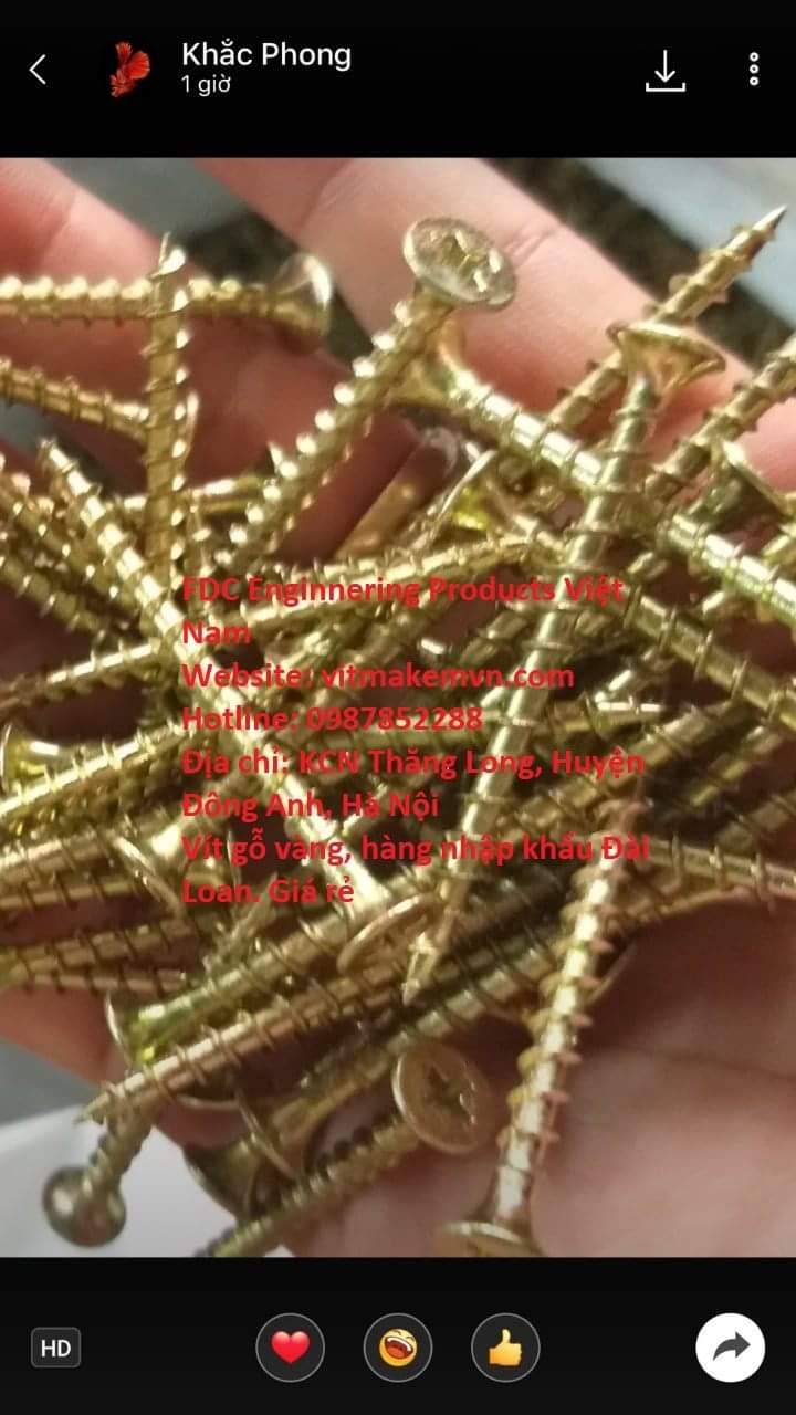 1700131749_vít_gỗ,_vít_bắn_gỗ,_vít_bắn_gỗ_vàng_răng_thưa,_vít_gỗ_vàng_răng_thưa,(17)