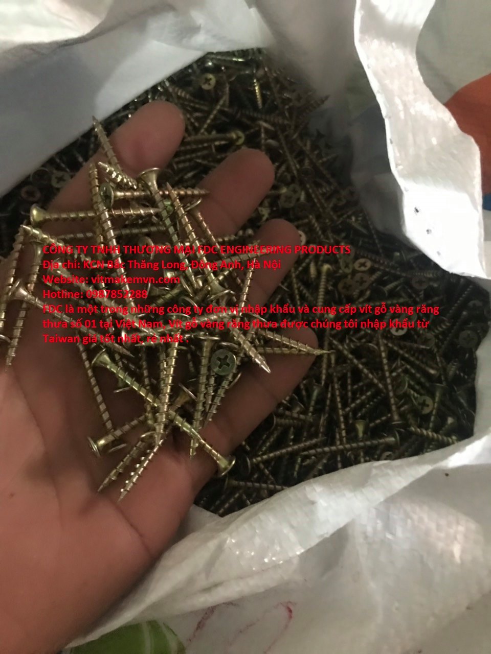 1700131749_vít_gỗ,_vít_bắn_gỗ,_vít_bắn_gỗ_vàng_răng_thưa,_vít_gỗ_vàng_răng_thưa,(18)