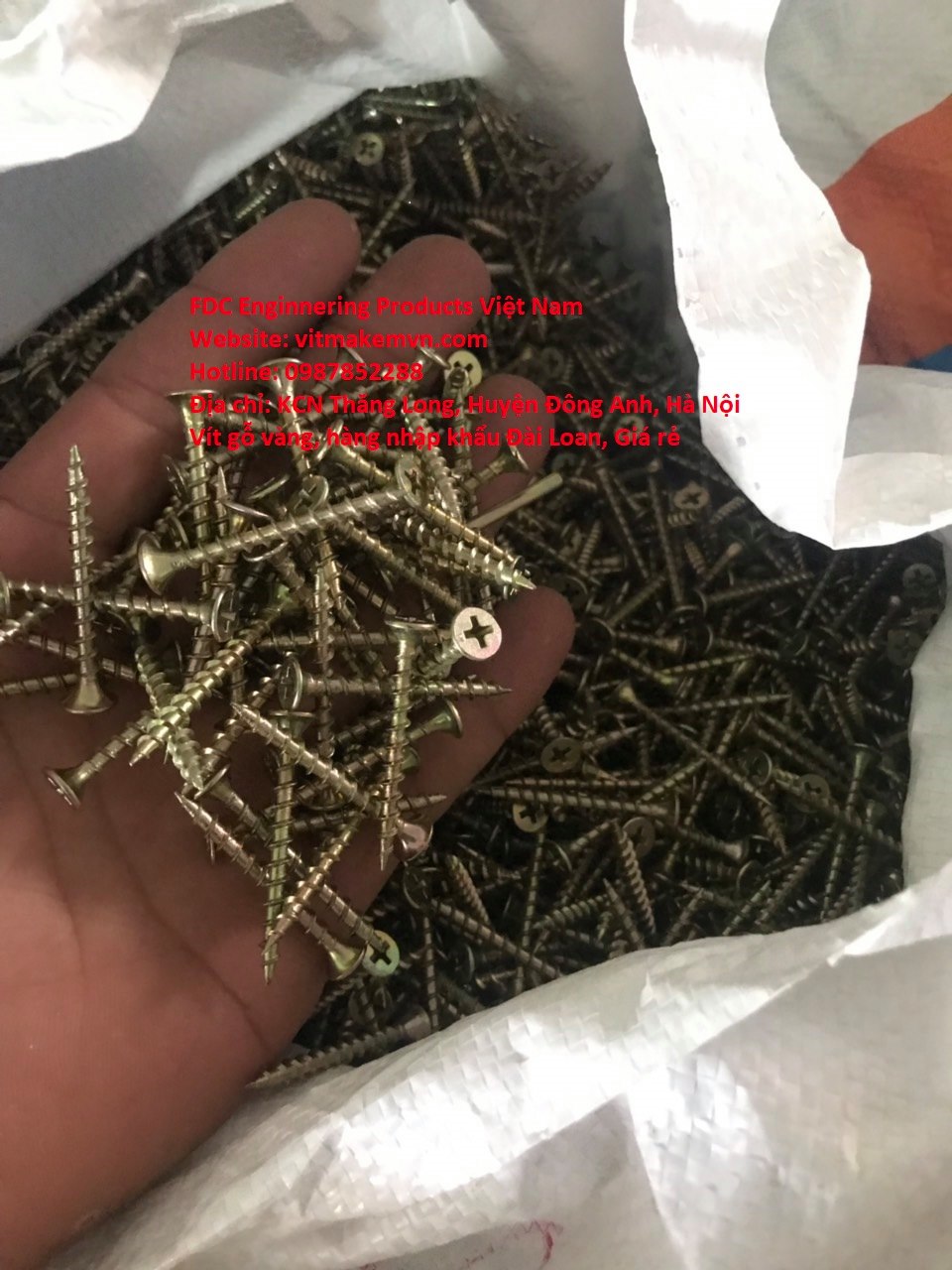 1700131782_vít_gỗ,_vít_bắn_gỗ,_vít_bắn_gỗ_vàng_răng_thưa,_vít_gỗ_vàng_răng_thưa,(10)
