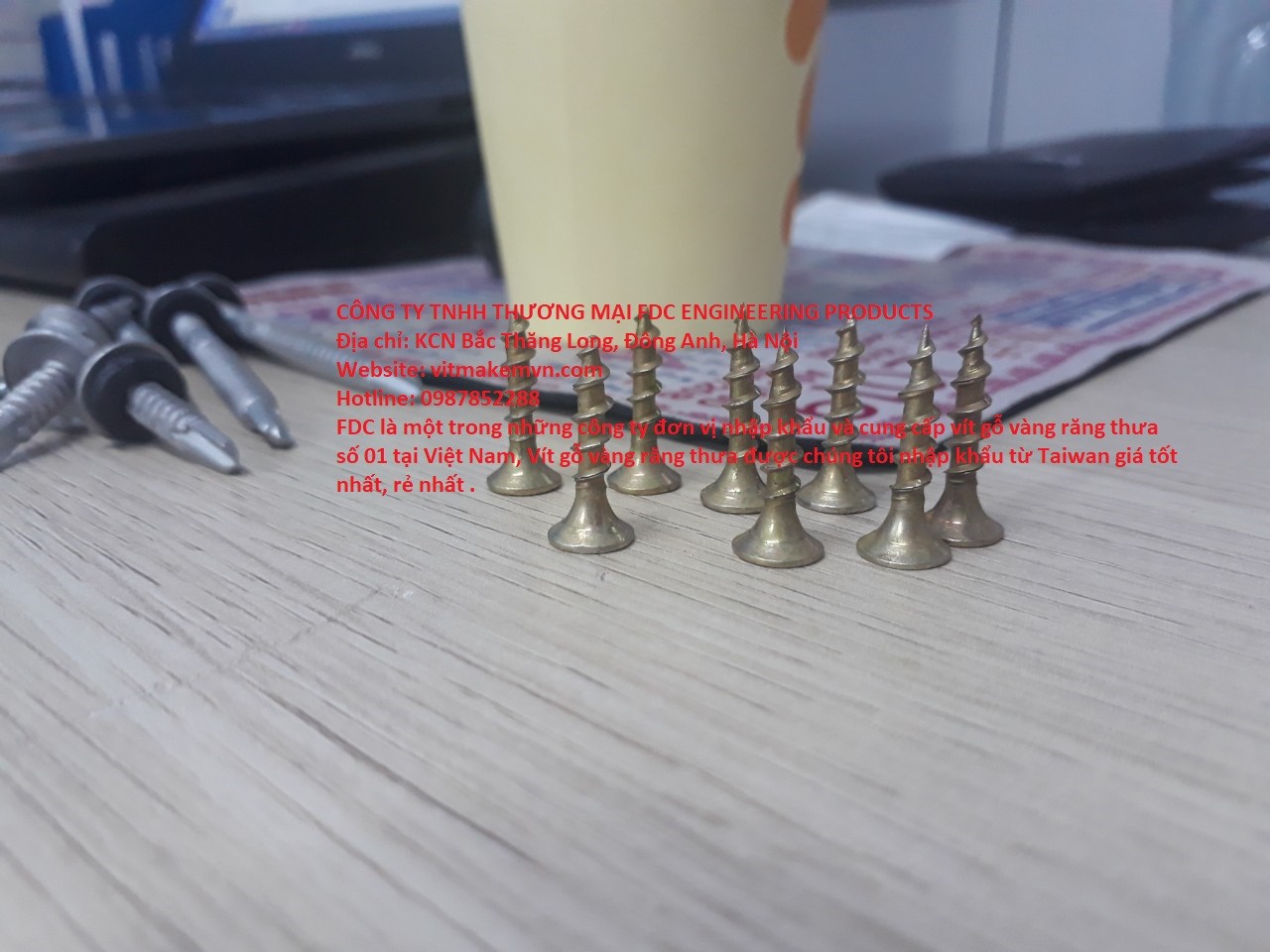 1700131782_vít_gỗ,_vít_bắn_gỗ,_vít_bắn_gỗ_vàng_răng_thưa,_vít_gỗ_vàng_răng_thưa,(30)