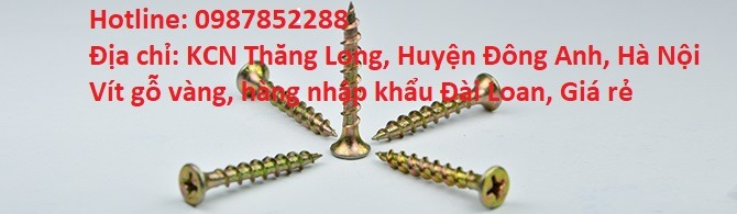 1700132273_vít_gỗ,_vít_bắn_gỗ,_vít_bắn_gỗ_vàng_răng_thưa,_vít_gỗ_vàng_răng_thưa,(31)