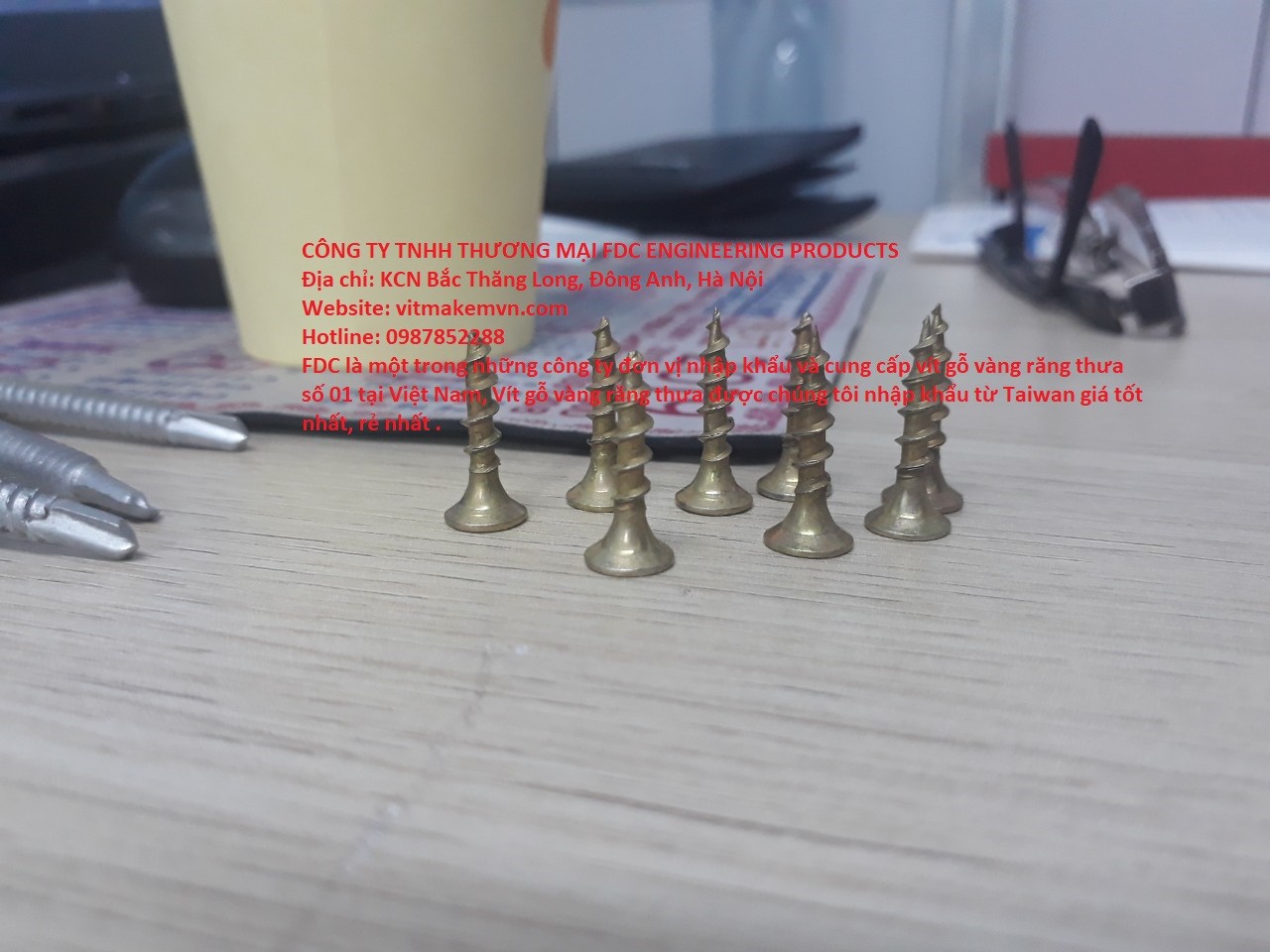1700132937_vít_gỗ,_vít_bắn_gỗ,_vít_bắn_gỗ_vàng_răng_thưa,_vít_gỗ_vàng_răng_thưa,(5)