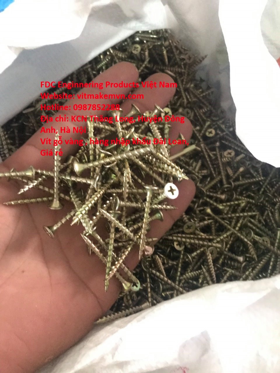 1700132937_vít_gỗ,_vít_bắn_gỗ,_vít_bắn_gỗ_vàng_răng_thưa,_vít_gỗ_vàng_răng_thưa,(8)