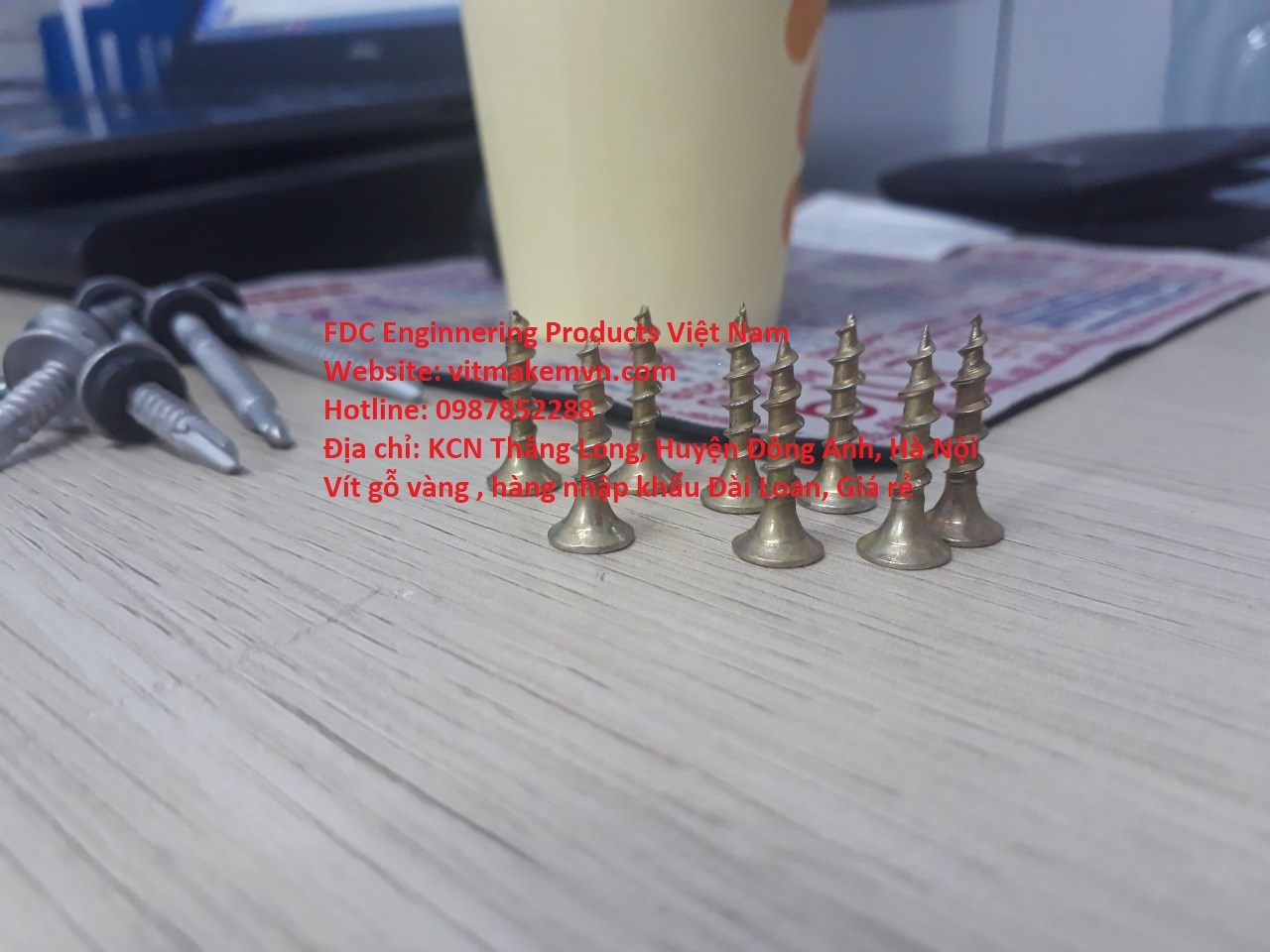 1700133055_vít_gỗ,_vít_bắn_gỗ,_vít_bắn_gỗ_vàng_răng_thưa,_vít_gỗ_vàng_răng_thưa,(19)