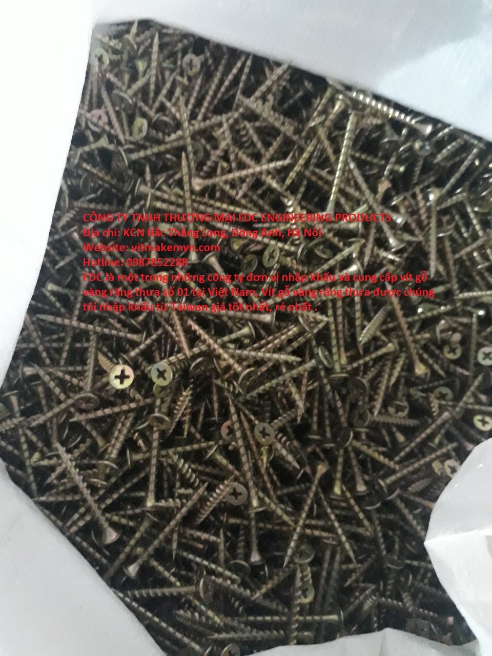 1700134196_vít_gỗ,_vít_bắn_gỗ,_vít_bắn_gỗ_vàng_răng_thưa,_vít_gỗ_vàng_răng_thưa,(6)